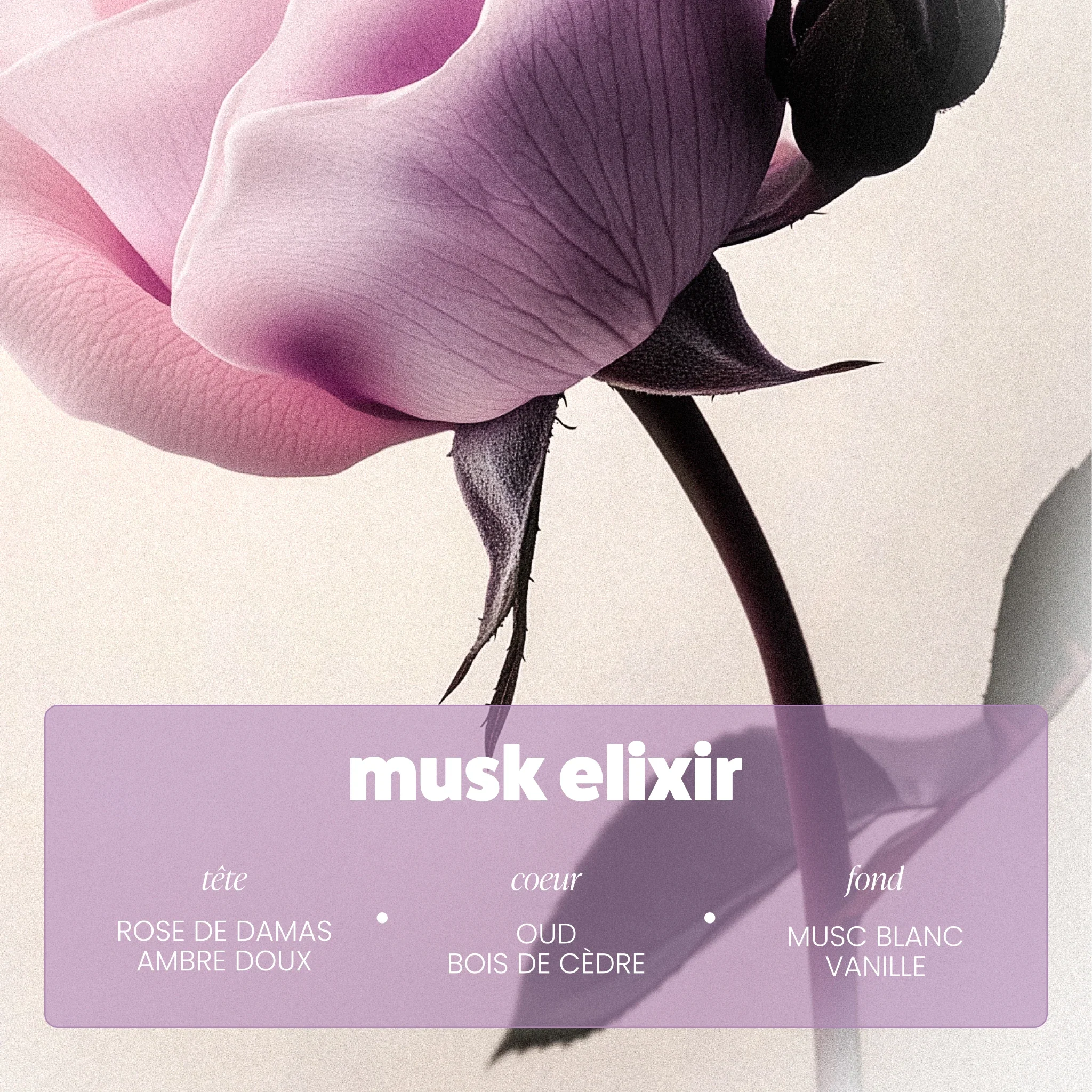 Brume Musk Elixir - Image 5