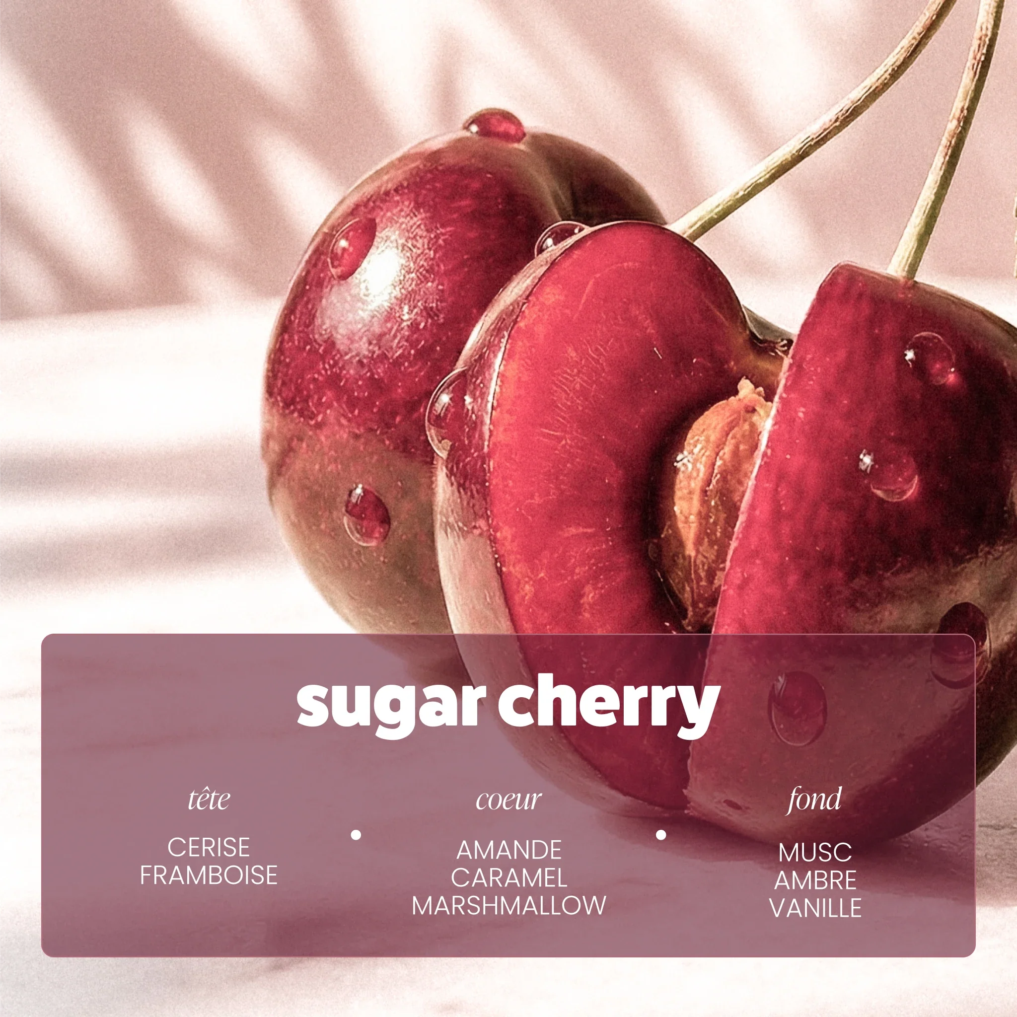 Brume Sugar Cherry - Image 5