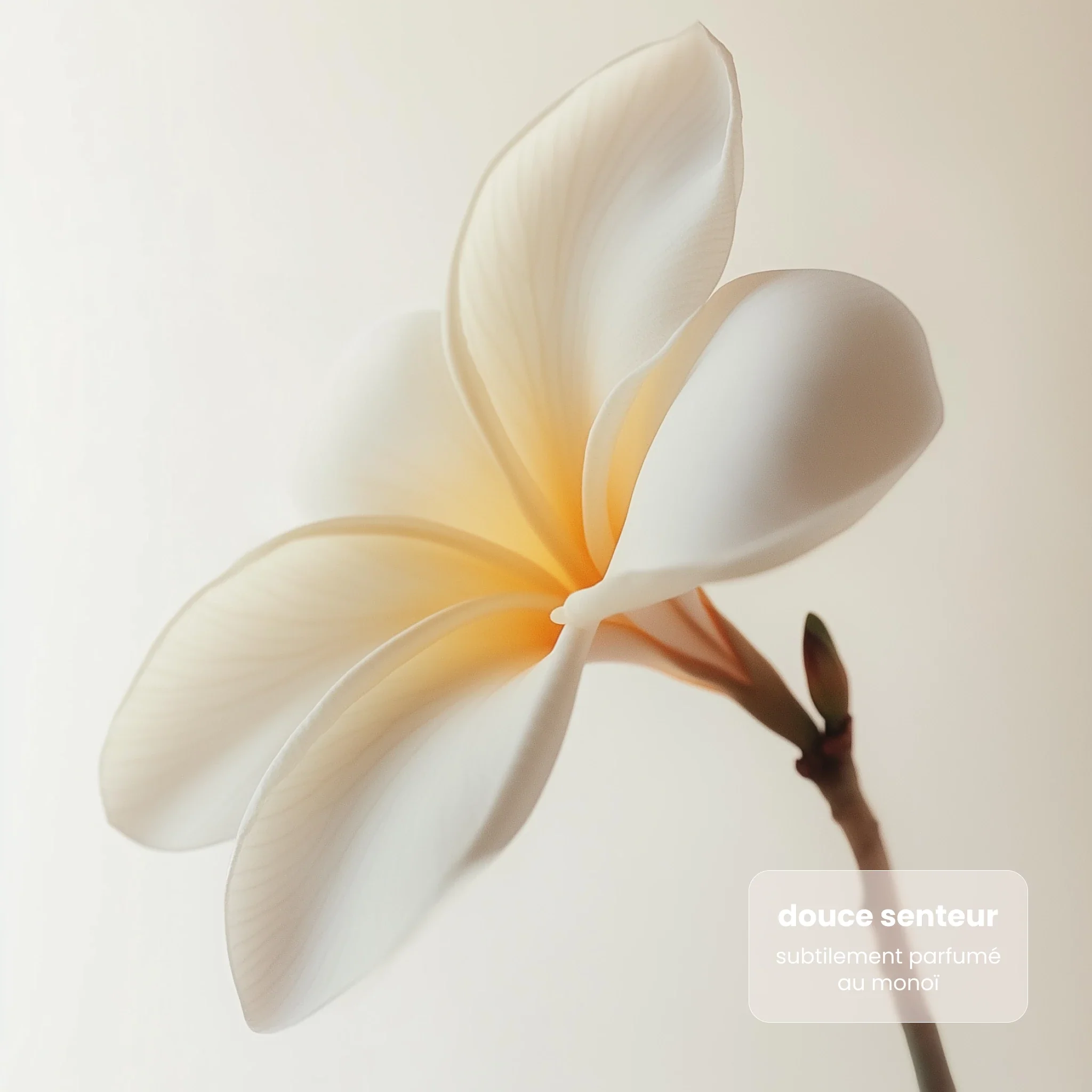 Hydragold - Image 4